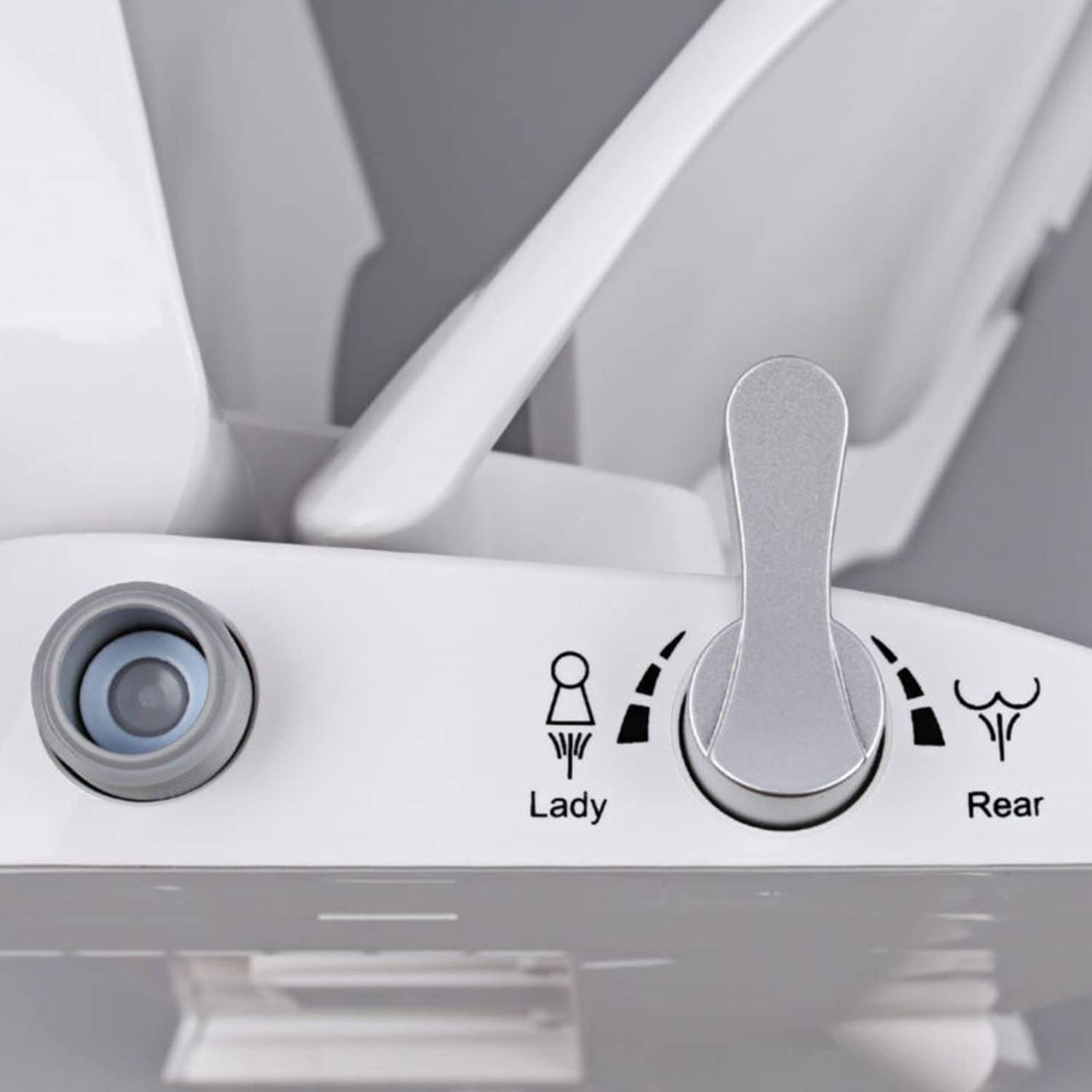Toilet Seat and Bidet: image 2