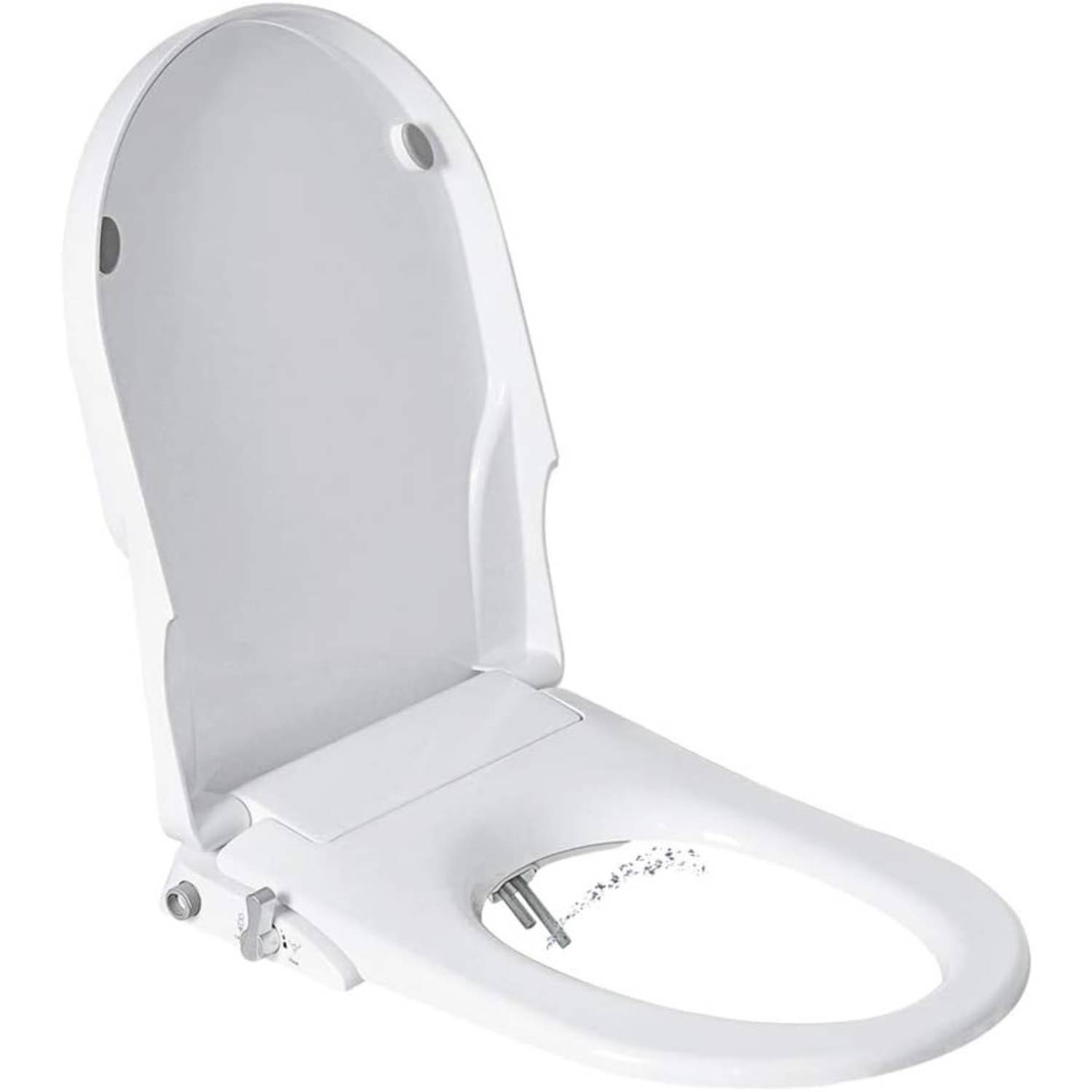 Toilet Seat and Bidet: image 3