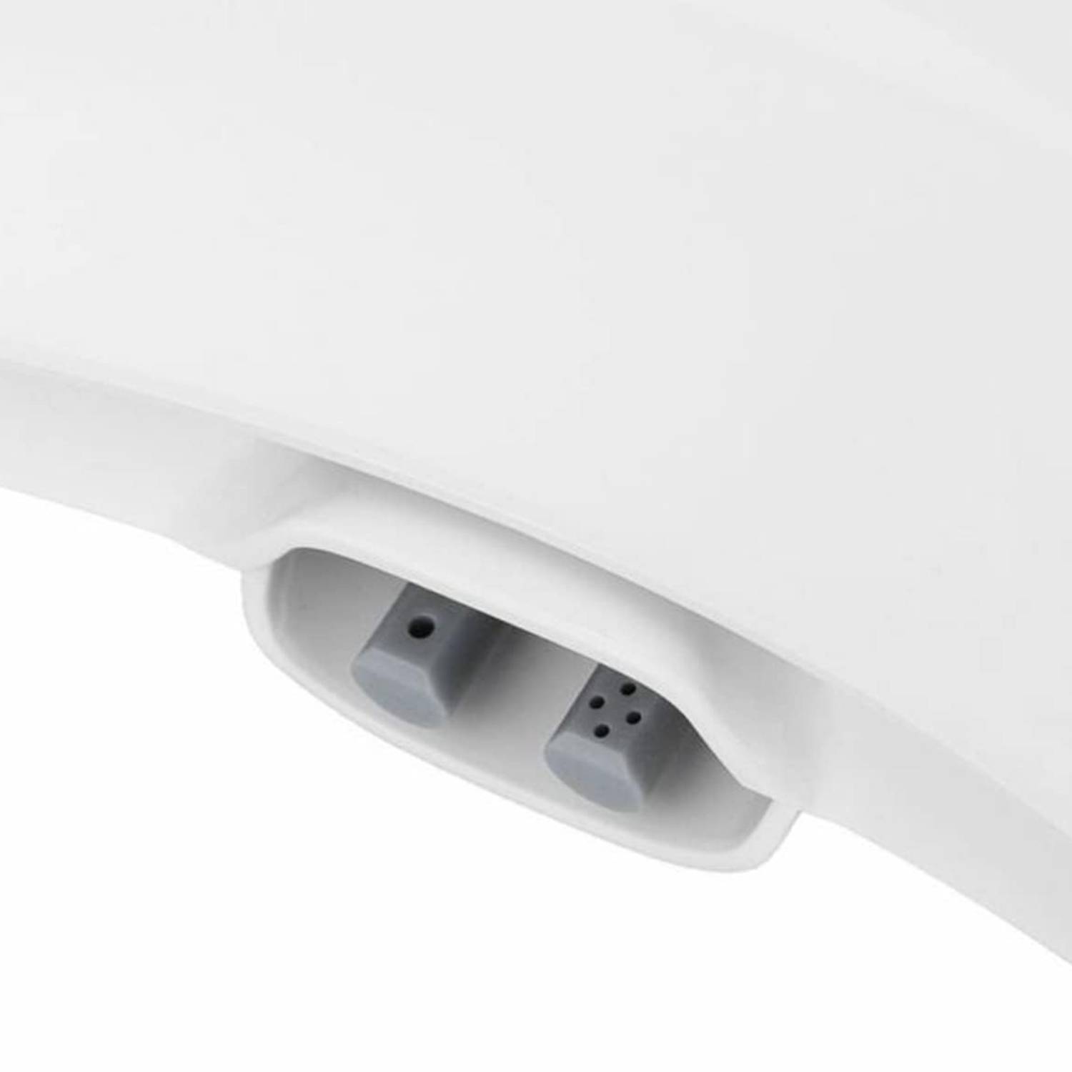 Toilet Seat and Bidet: image 5