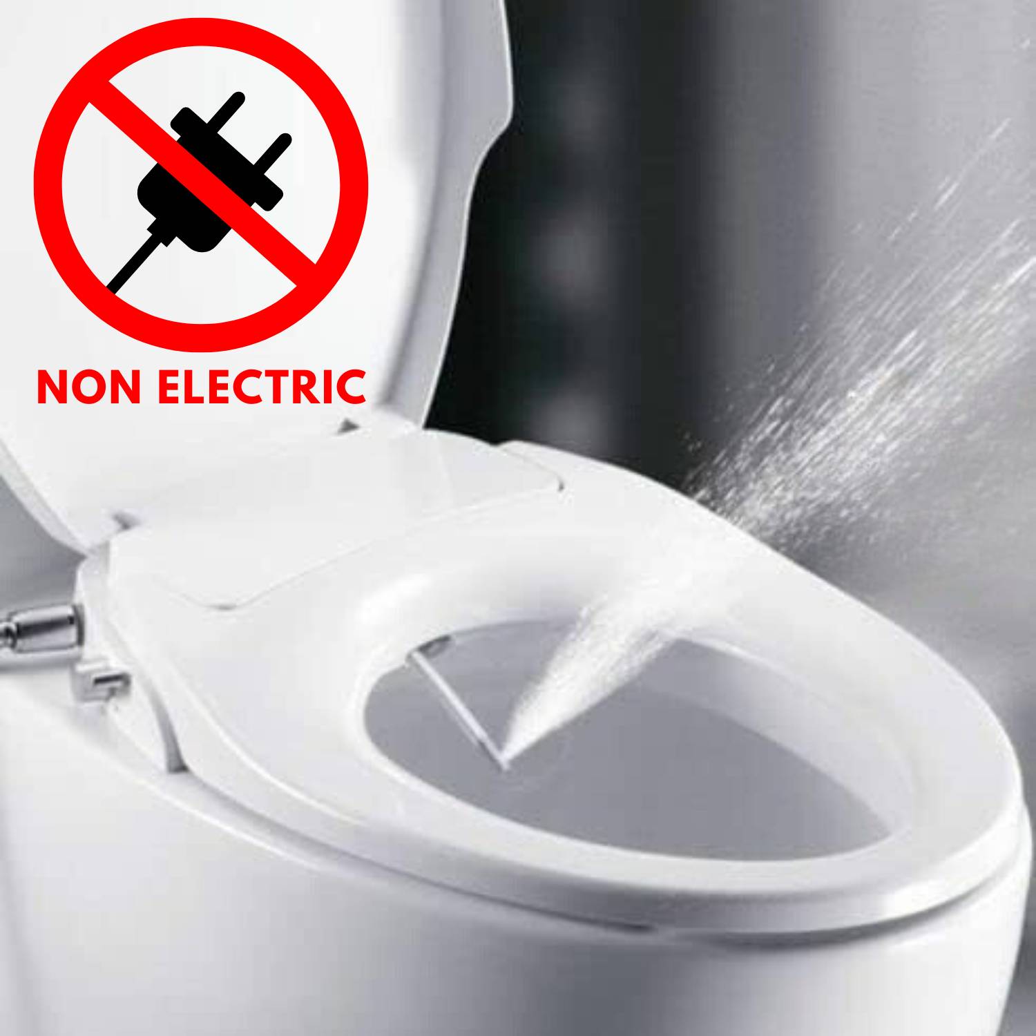 Toilet Seat and Bidet: image 6