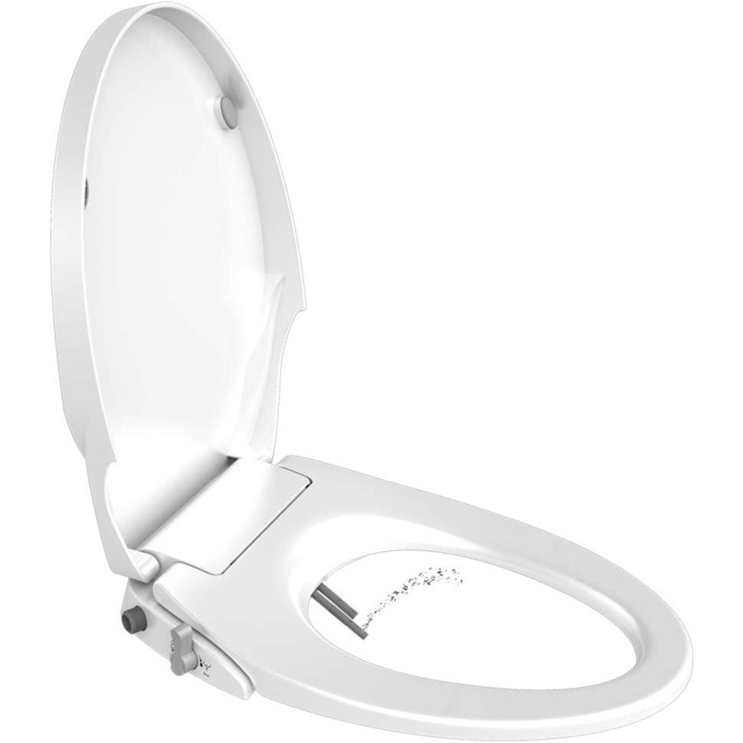 Toilet Seat and Bidet: image 7