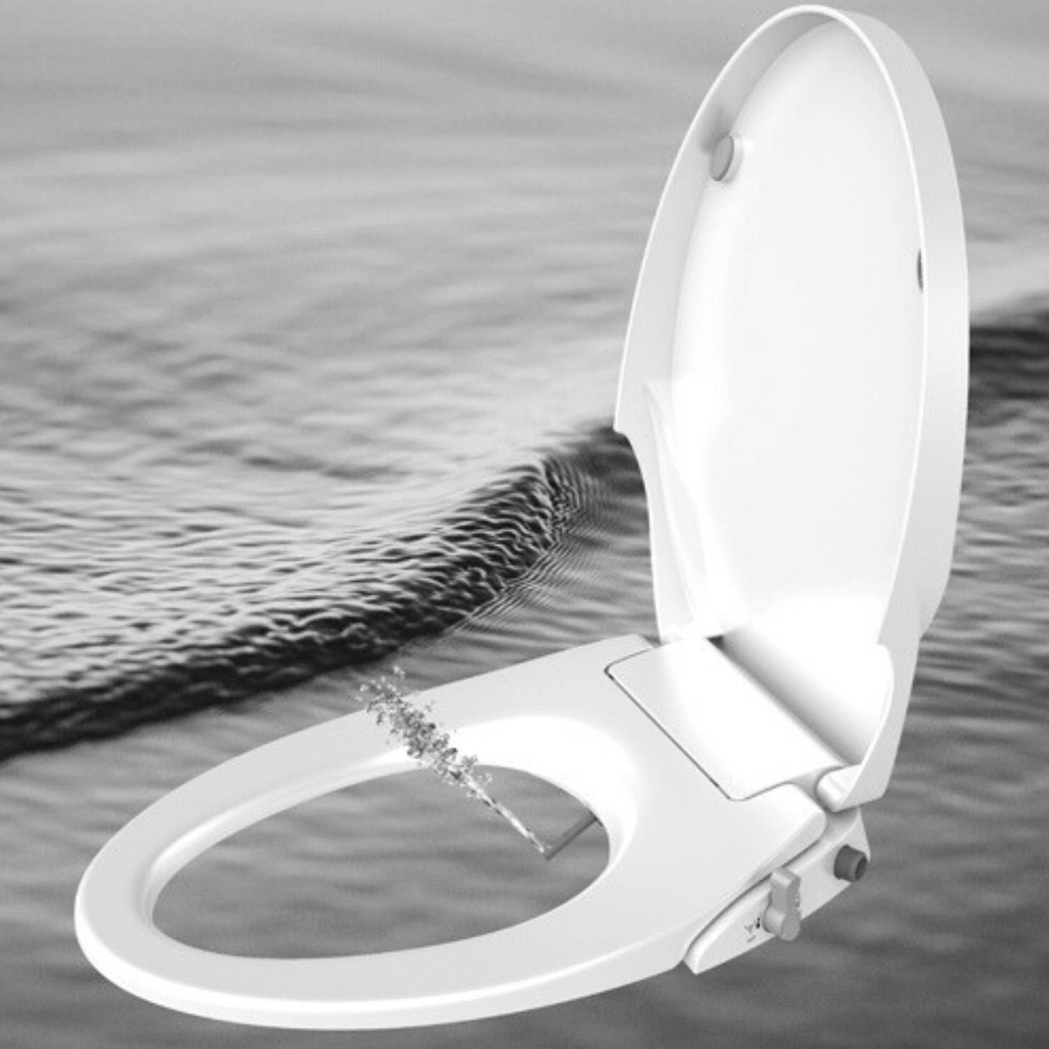 Toilet Seat and Bidet